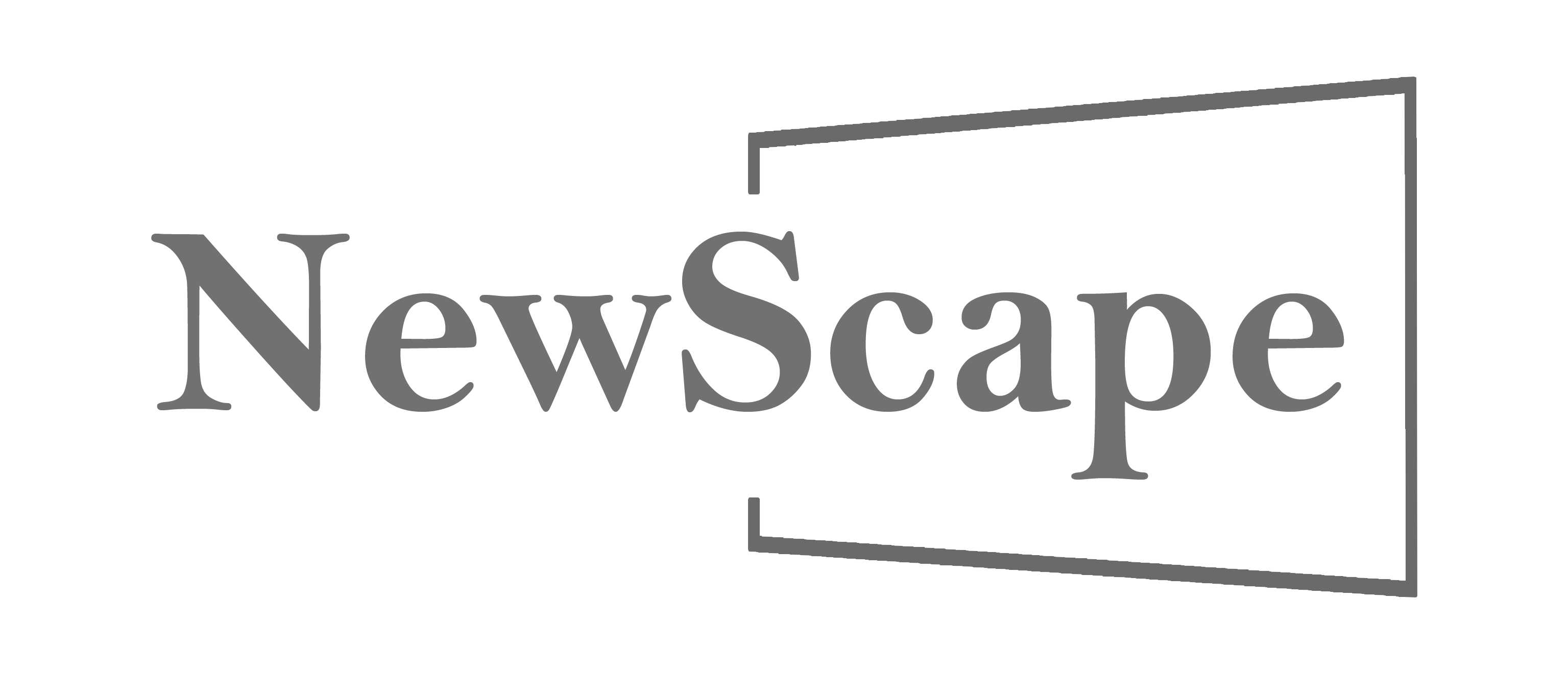 NewScape logo