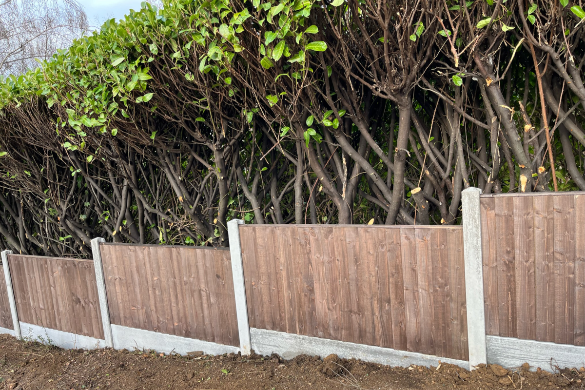 Fencing002