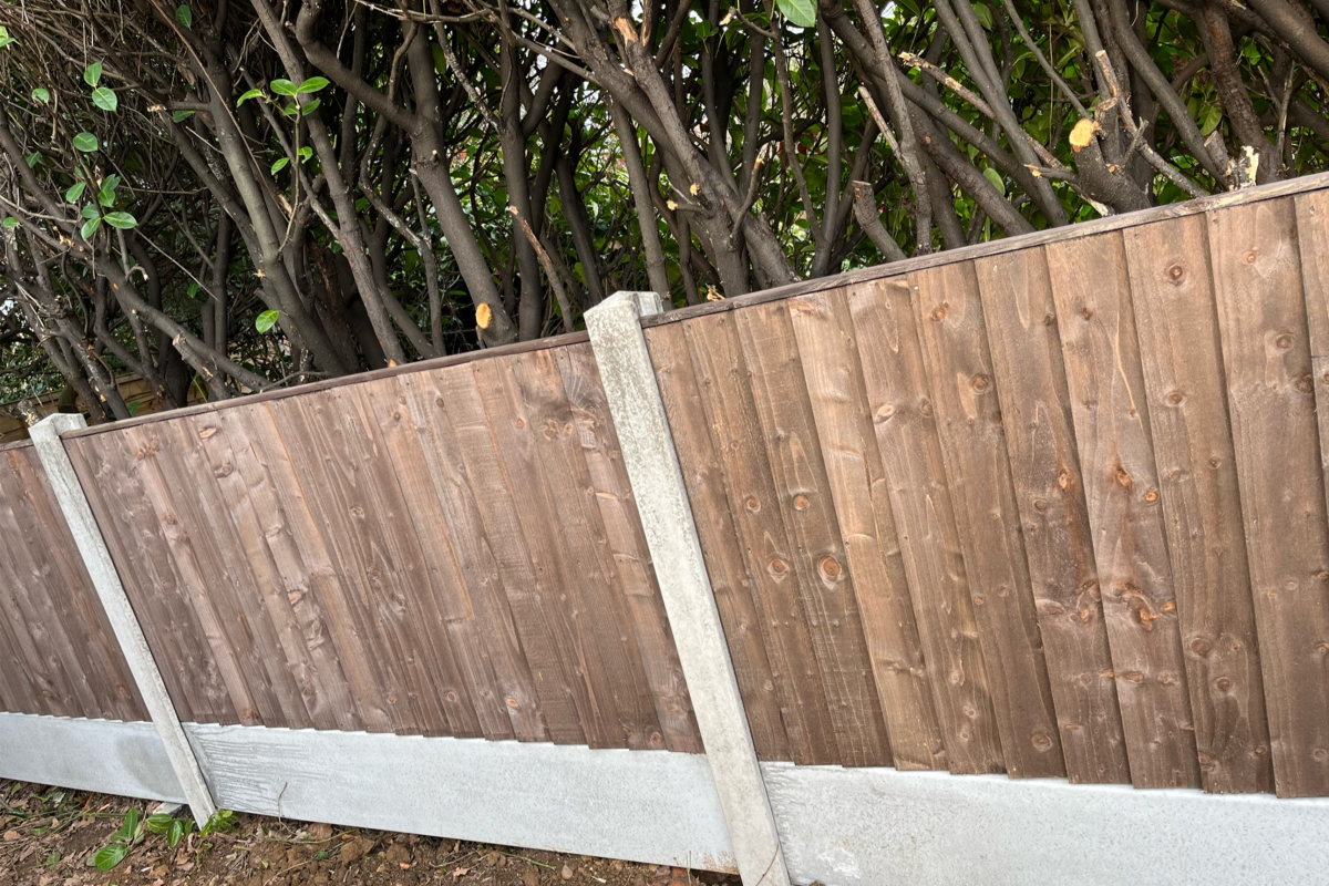 Fencing003