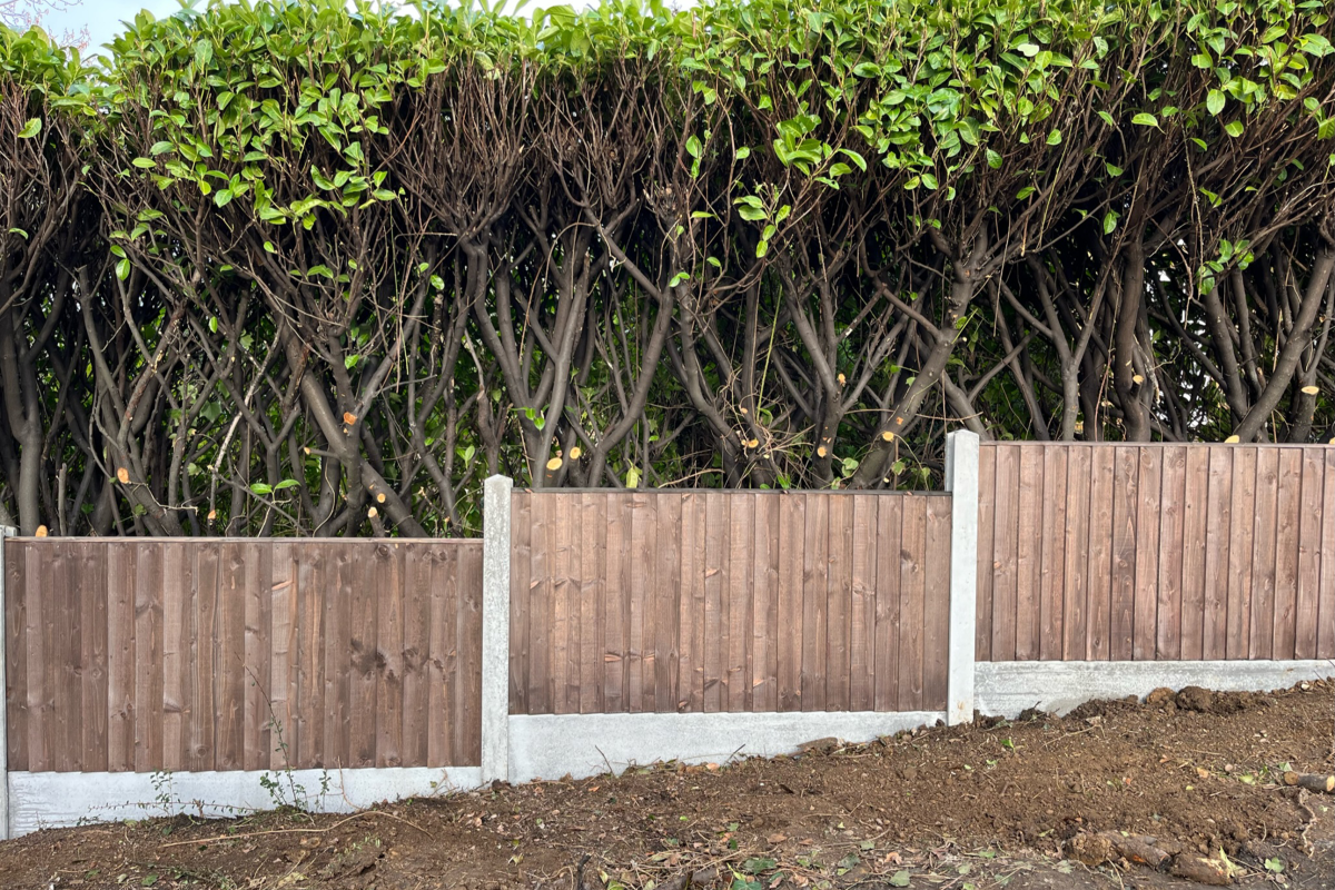 Fencing008